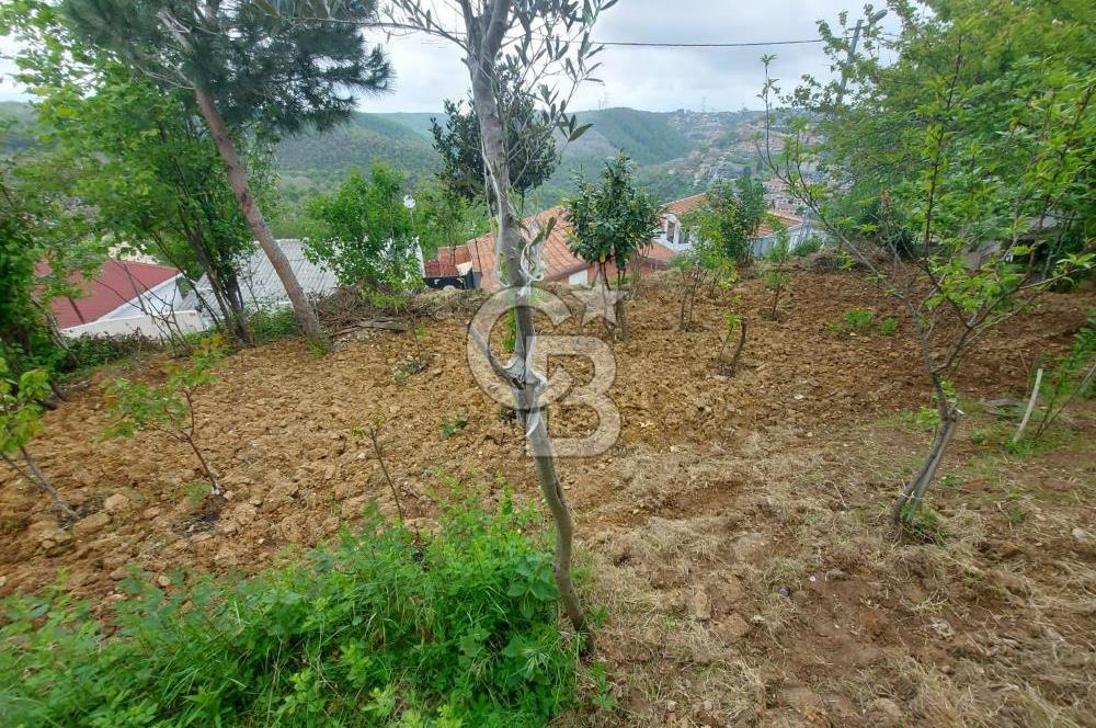 SARIYER KOCATAŞTA DOĞA İLE İÇ İÇE SATILIK 530 M2 ARSA VE EV