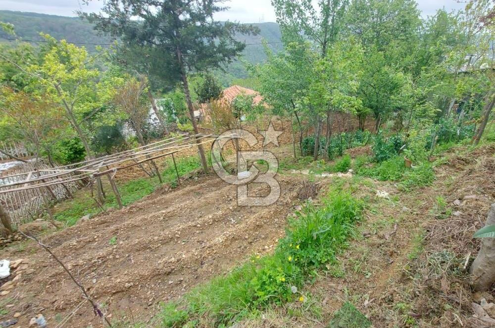 SARIYER KOCATAŞTA DOĞA İLE İÇ İÇE SATILIK 530 M2 ARSA VE EV