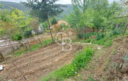SARIYER KOCATAŞTA DOĞA İLE İÇ İÇE SATILIK 530 M2 ARSA VE EV