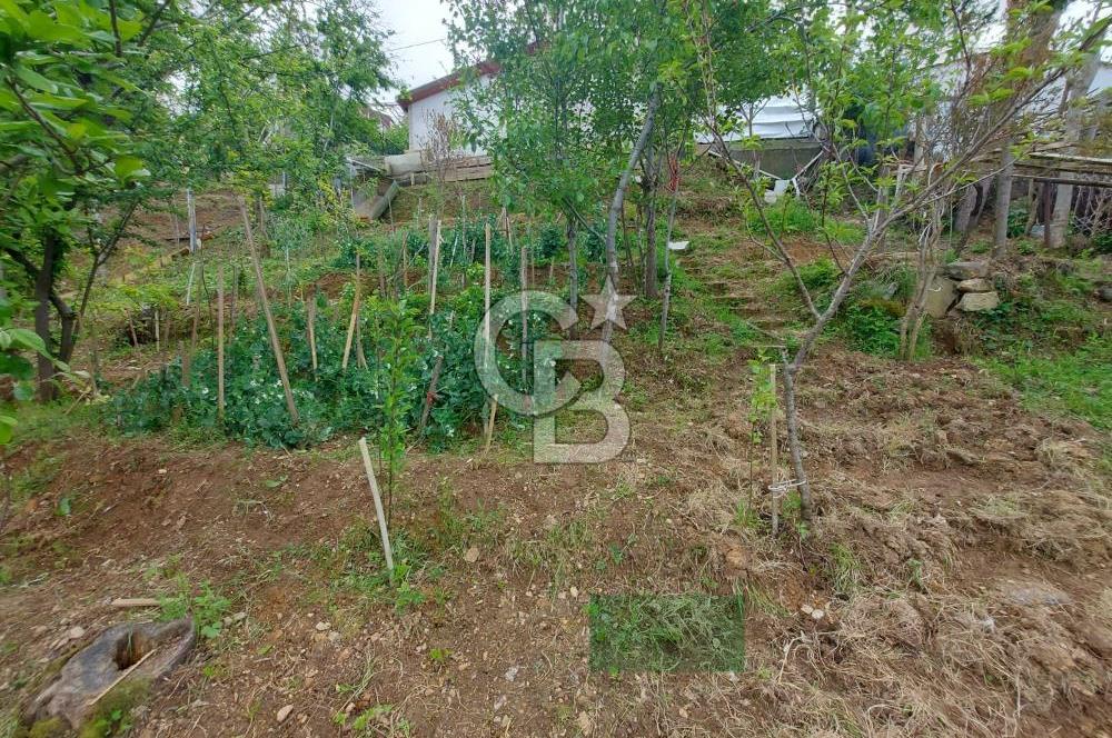 SARIYER KOCATAŞTA DOĞA İLE İÇ İÇE SATILIK 530 M2 ARSA VE EV