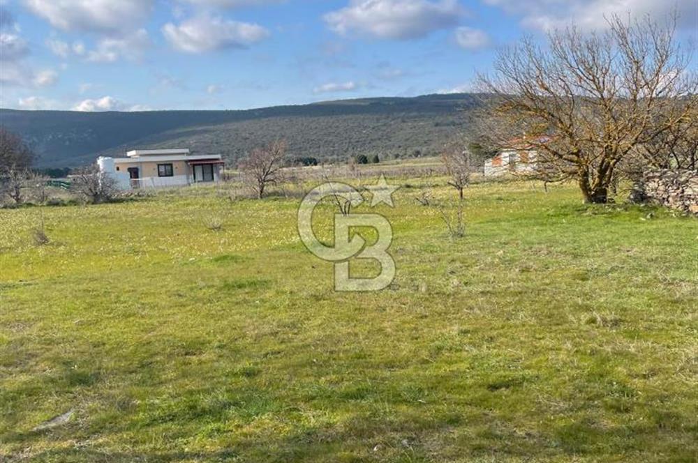 Urla Barbaros Köy içi Ata Miras Satılık   585 M2 Tarla