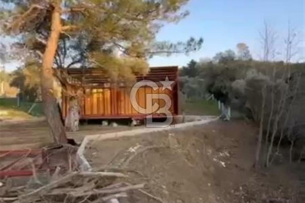 İzmir Torbalı Ormanköy 201 m2 Satılık Hisse Tapu Tarla