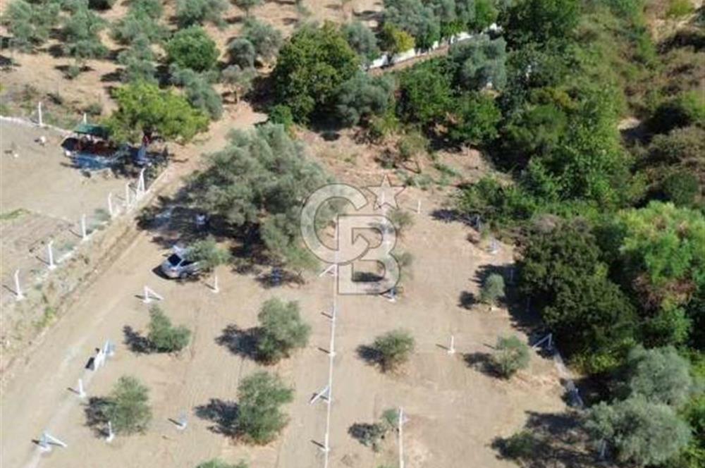 İzmir Torbalı Ormanköy 201 m2 Satılık Hisse Tapu Tarla
