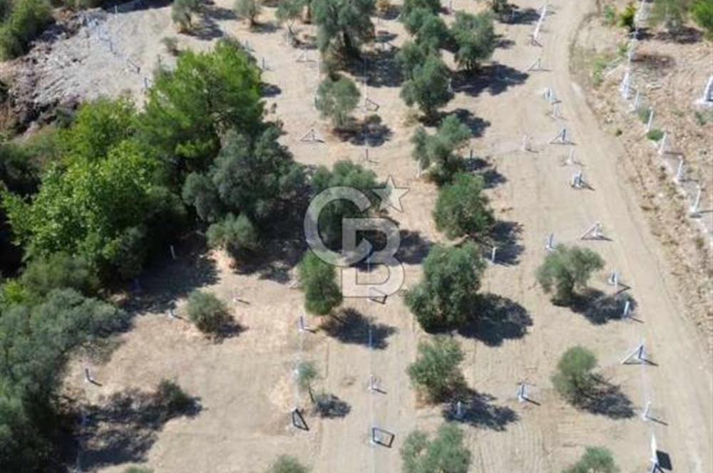 İzmir Torbalı Ormanköy 201 m2 Satılık Hisse Tapu Tarla