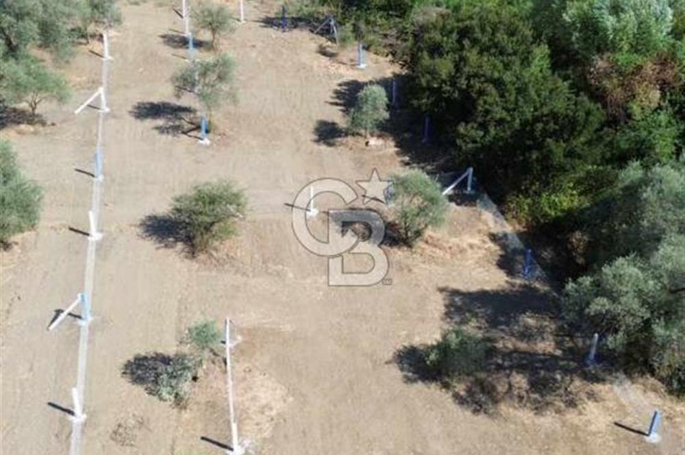 İzmir Torbalı Ormanköy 201 m2 Satılık Hisse Tapu Tarla