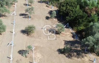 İzmir Torbalı Ormanköy 201 m2 Satılık Hisse Tapu Tarla