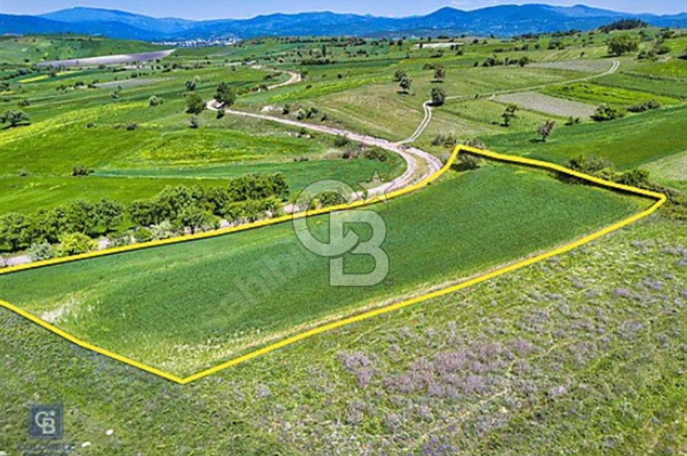YATIRIMLIK FIRSAT! 3974 m2 | RESMİ YOL | SANAYİ BÖLGESİ |