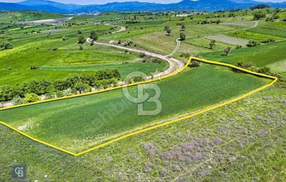 YATIRIMLIK FIRSAT! 3974 m2 | RESMİ YOL | SANAYİ BÖLGESİ |