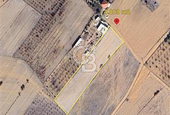 KORKUTELİ BOZOVA MH 4.809 M2 TARLA