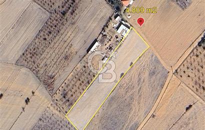 KORKUTELİ BOZOVA MH 4.809 M2 TARLA