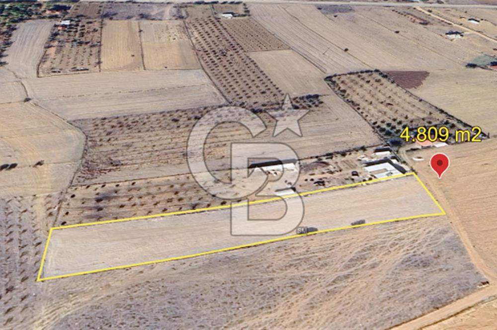 KORKUTELİ BOZOVA MH 4.809 M2 TARLA