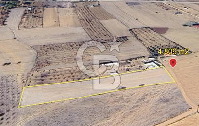 KORKUTELİ BOZOVA MH 4.809 M2 TARLA