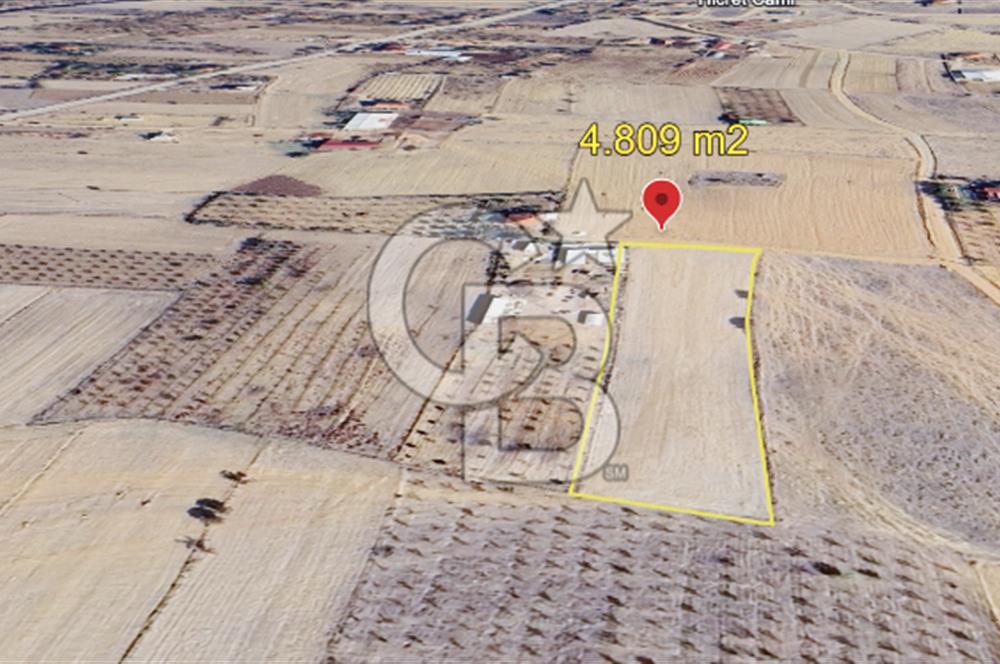 KORKUTELİ BOZOVA MH 4.809 M2 TARLA
