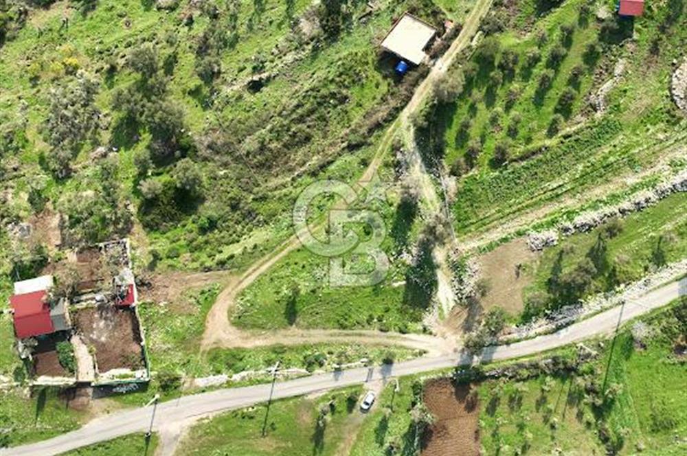 MORDOĞAN'DA DENİZ MANZARALI SATILIK TARLA