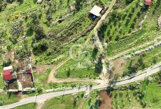 MORDOĞAN'DA DENİZ MANZARALI SATILIK TARLA