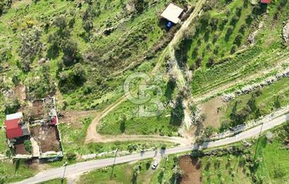MORDOĞAN'DA DENİZ MANZARALI SATILIK TARLA