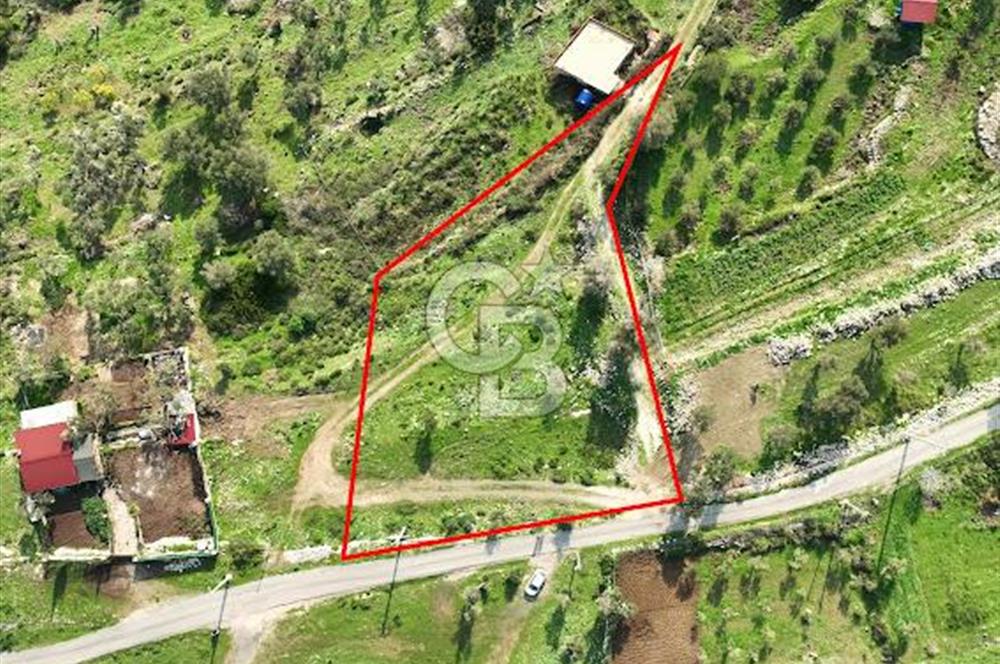 MORDOĞAN'DA DENİZ MANZARALI SATILIK TARLA