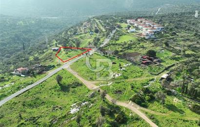 MORDOĞAN'DA DENİZ MANZARALI SATILIK TARLA