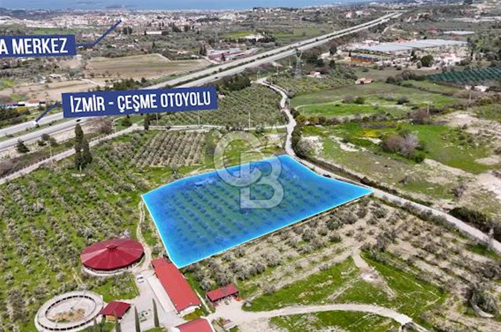 URLA CAMİAATİK'TE SATILIK TARLA