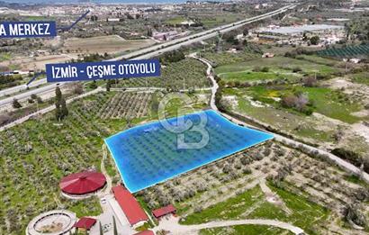 URLA CAMİAATİK'TE SATILIK TARLA