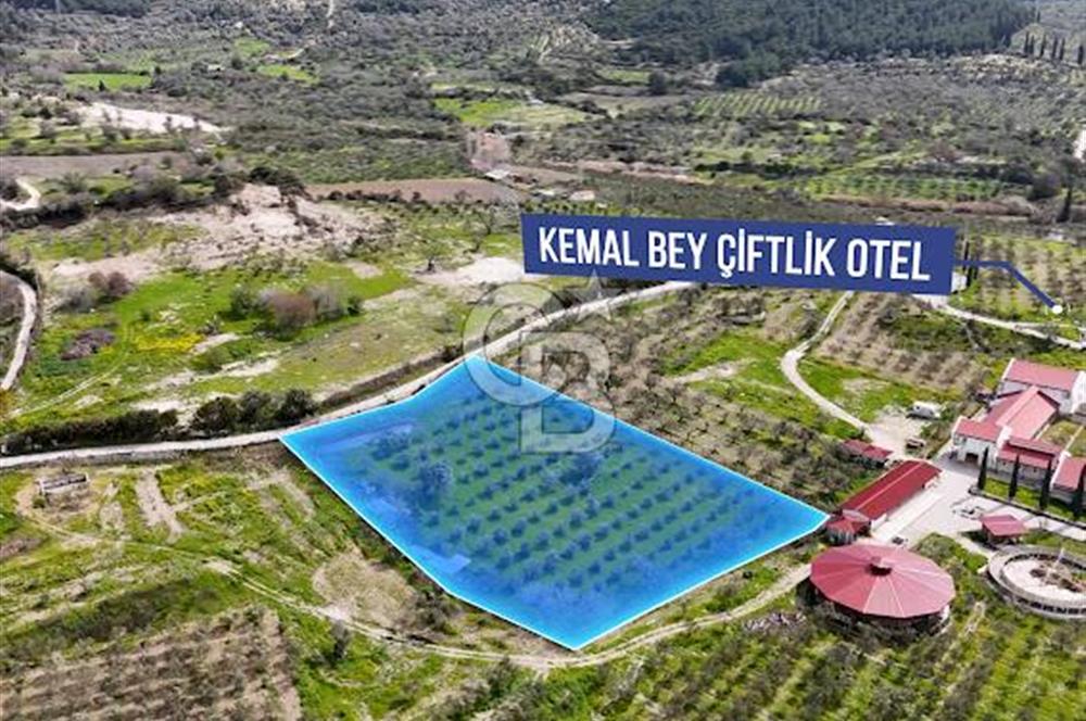 URLA CAMİAATİK'TE SATILIK TARLA