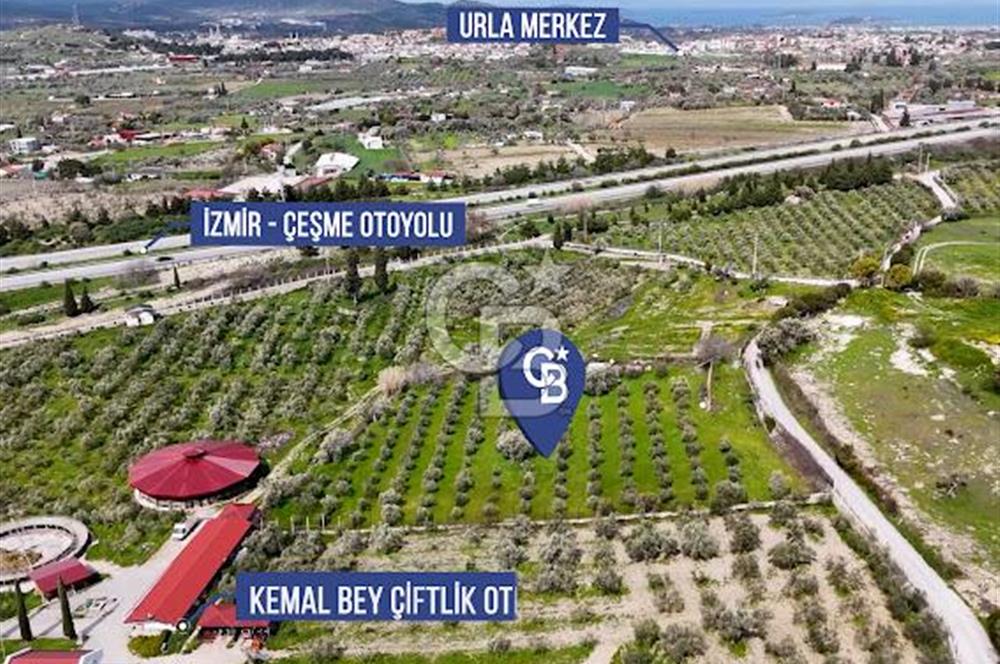 URLA CAMİAATİK'TE SATILIK TARLA