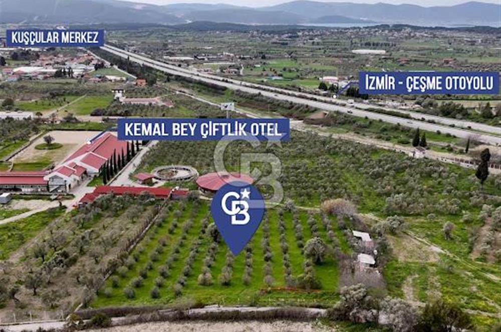 URLA CAMİAATİK'TE SATILIK TARLA