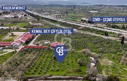 URLA CAMİAATİK'TE SATILIK TARLA