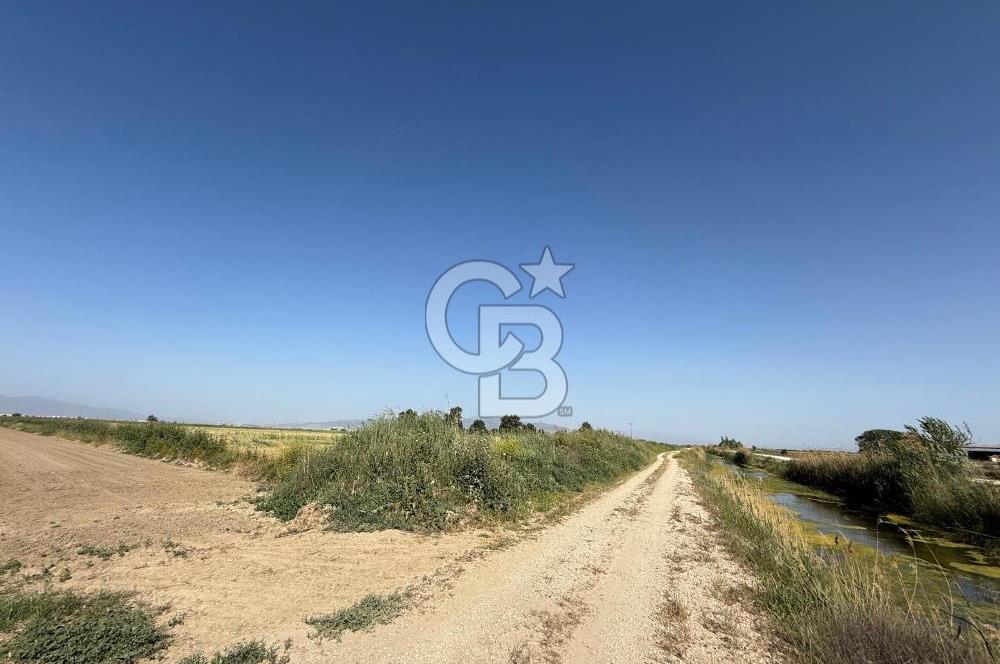 Menemen Tuzçullu Köyüne 800 m İki Tarafı Yol Cepheli Fırsat Tarla 