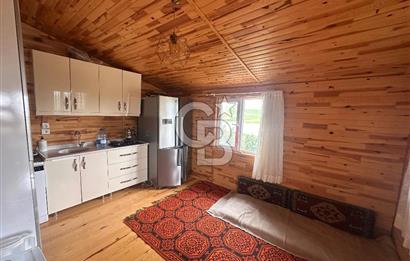 Pursaklar Abadan'da Eşyalı Satılık 500 m2 Hobi Bahçesi ve Evi