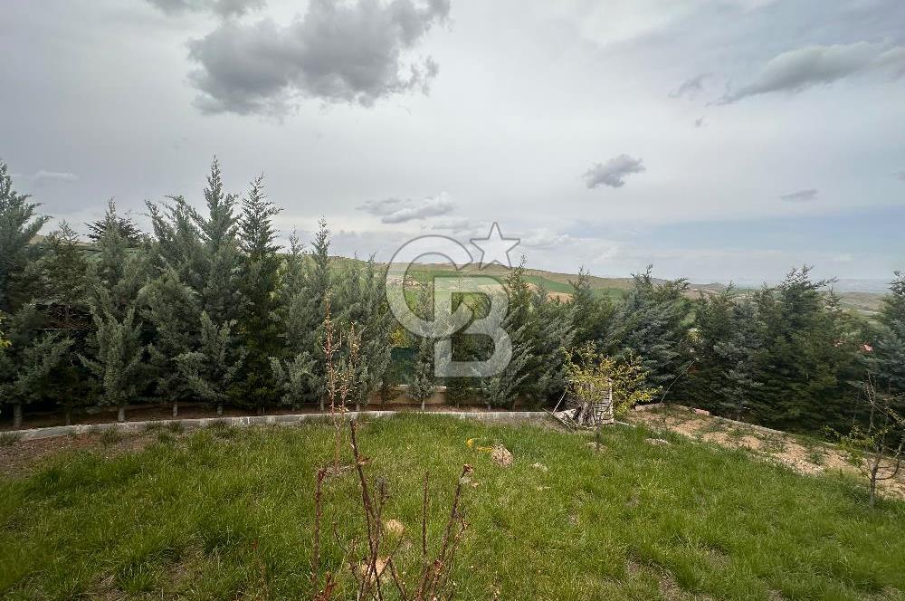 Pursaklar Abadan'da Eşyalı Satılık 500 m2 Hobi Bahçesi ve Evi