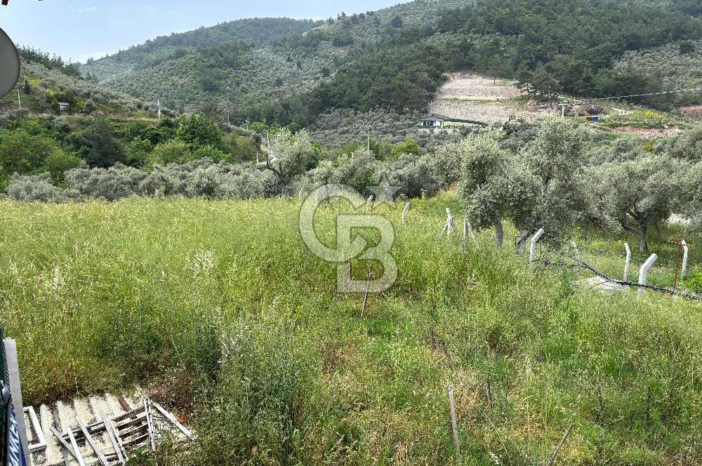 CB Yalı'dan Torbalı Karakızlar'da Satılık Arsa Ve Müstakil Ev