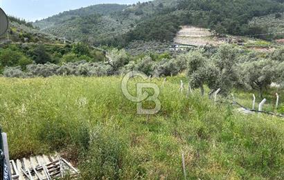CB Yalı'dan Torbalı Karakızlar'da Satılık Arsa Ve Müstakil Ev