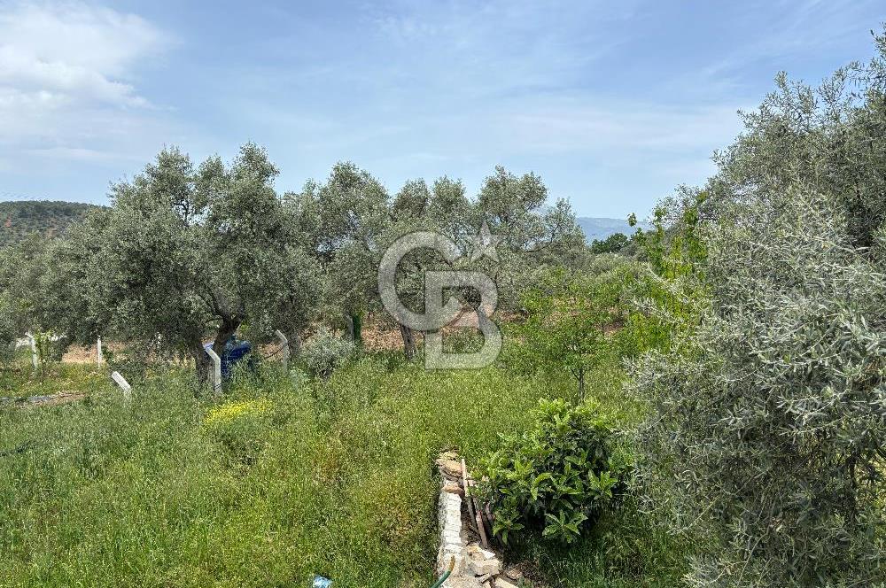 CB Yalı'dan Torbalı Karakızlar'da Satılık Arsa Ve Müstakil Ev