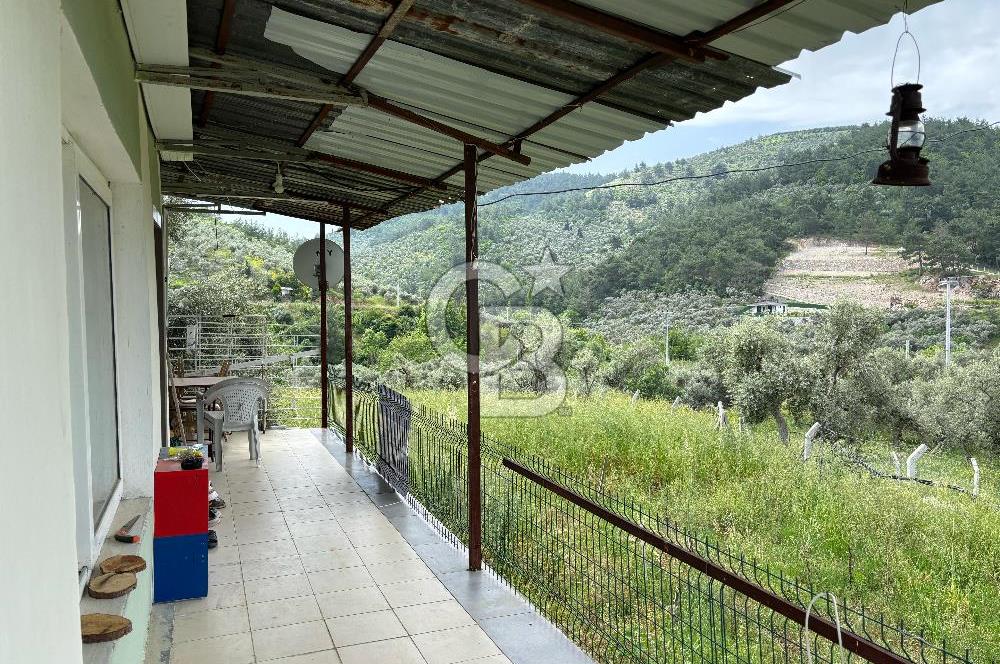 CB Yalı'dan Torbalı Karakızlar'da Satılık Arsa Ve Müstakil Ev
