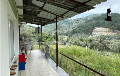 CB Yalı'dan Torbalı Karakızlar'da Satılık Arsa Ve Müstakil Ev