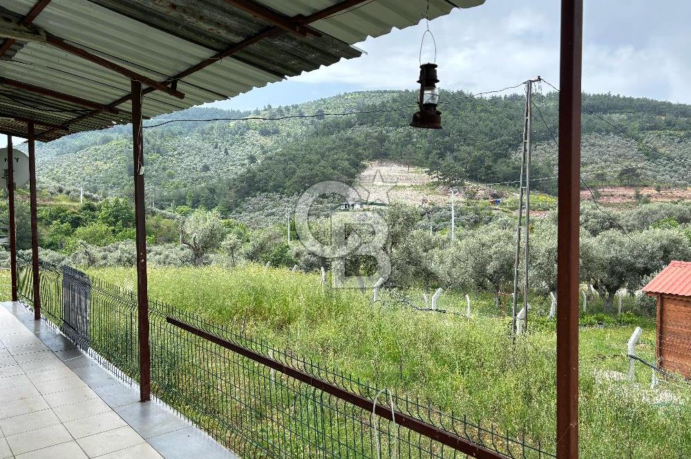 CB Yalı'dan Torbalı Karakızlar'da Satılık Arsa Ve Müstakil Ev