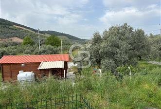 CB Yalı'dan Torbalı Karakızlar'da Satılık Arsa Ve Müstakil Ev