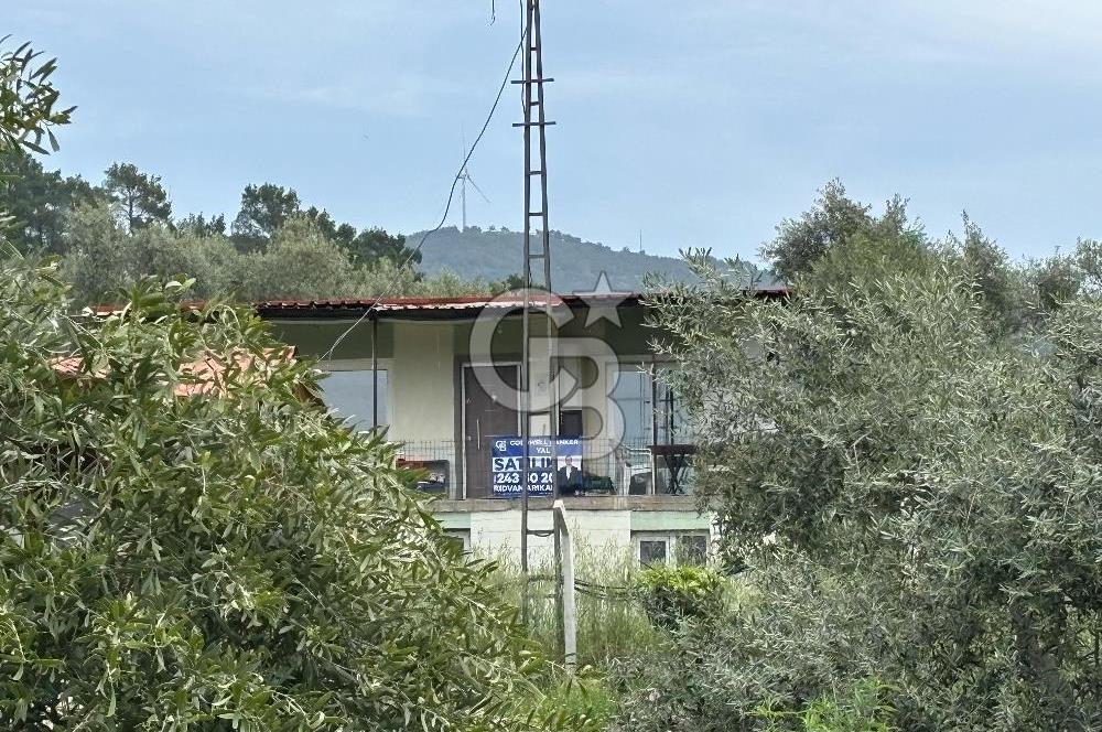 CB Yalı'dan Torbalı Karakızlar'da Satılık Arsa Ve Müstakil Ev