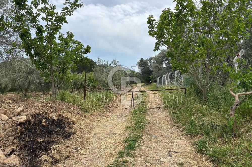 CB Yalı'dan Torbalı Karakızlar'da Satılık Arsa Ve Müstakil Ev