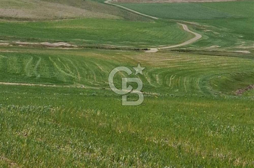 MAHMATLI SATILIK İMARLI ARSA