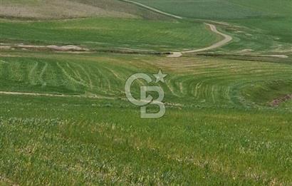 MAHMATLI SATILIK İMARLI ARSA