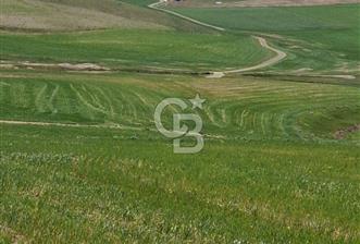 MAHMATLI SATILIK İMARLI ARSA