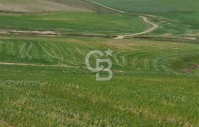MAHMATLI SATILIK İMARLI ARSA