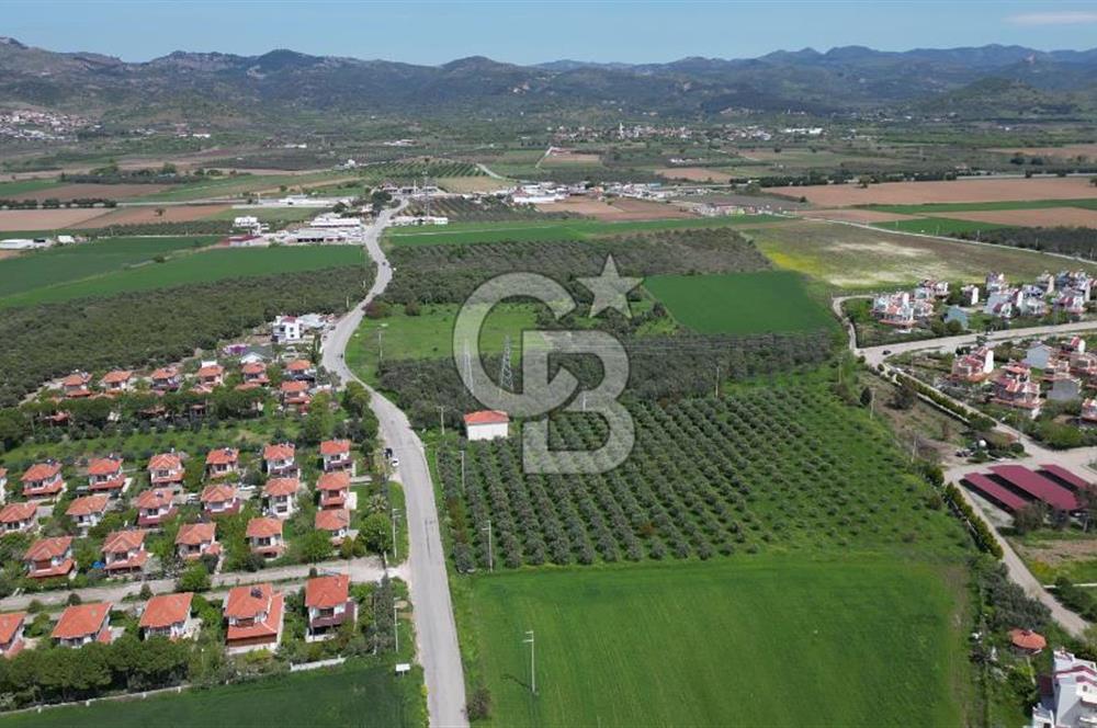 İZMİR DİKİLİ SALİHLERALTINDA 15.042 m² SATILIK ARAZİ