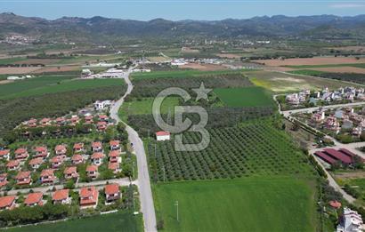 İZMİR DİKİLİ SALİHLERALTINDA 15.042 m² SATILIK ARAZİ