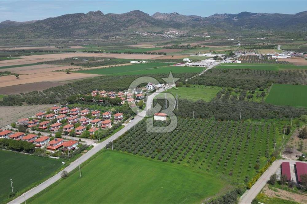 İZMİR DİKİLİ SALİHLERALTINDA 15.042 m² SATILIK ARAZİ