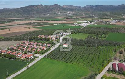 İZMİR DİKİLİ SALİHLERALTINDA 15.042 m² SATILIK ARAZİ