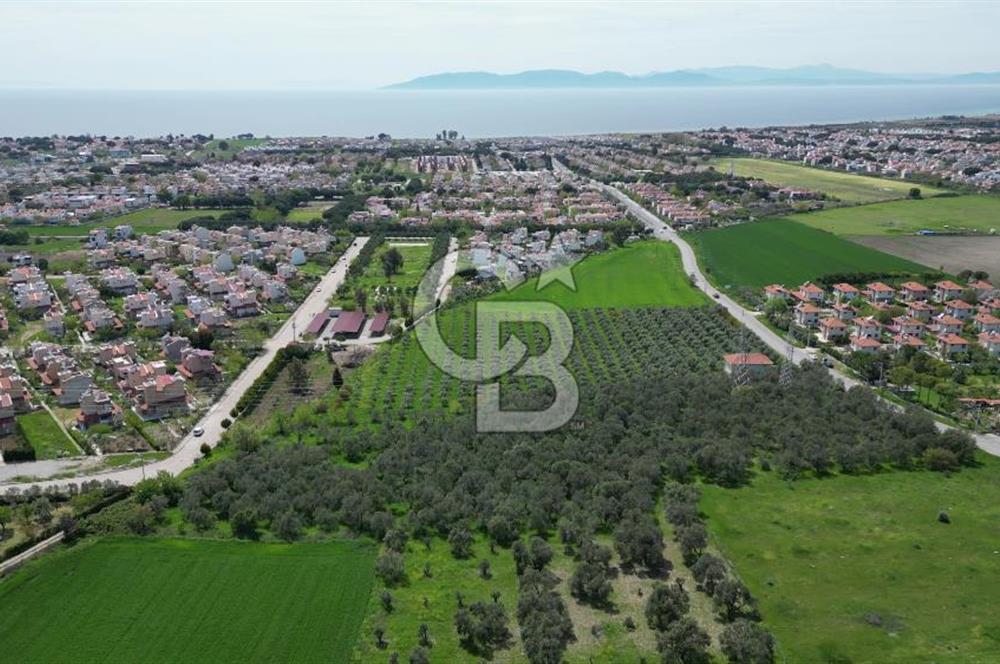 İZMİR DİKİLİ SALİHLERALTINDA 15.042 m² SATILIK ARAZİ