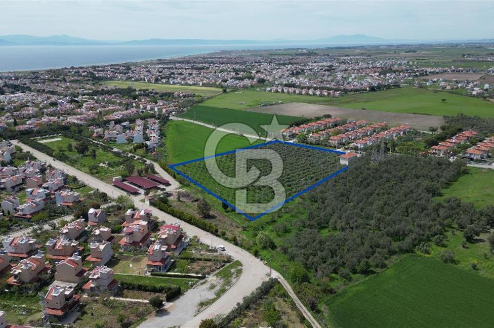 İZMİR DİKİLİ SALİHLERALTINDA 15.042 m² SATILIK ARAZİ